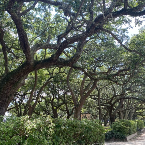 Welcome to The Pampered Boutique! - Picture 7 of 8